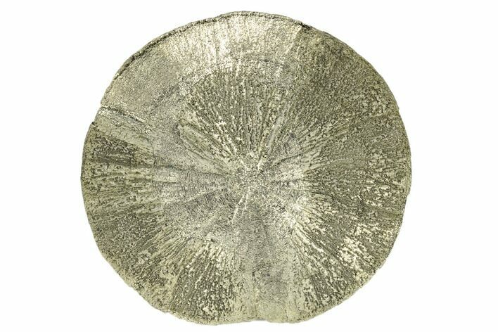 Pyrite Sun - Sparta, Illinois #180656